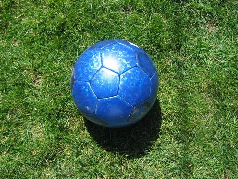 极速体育官网 伙伴